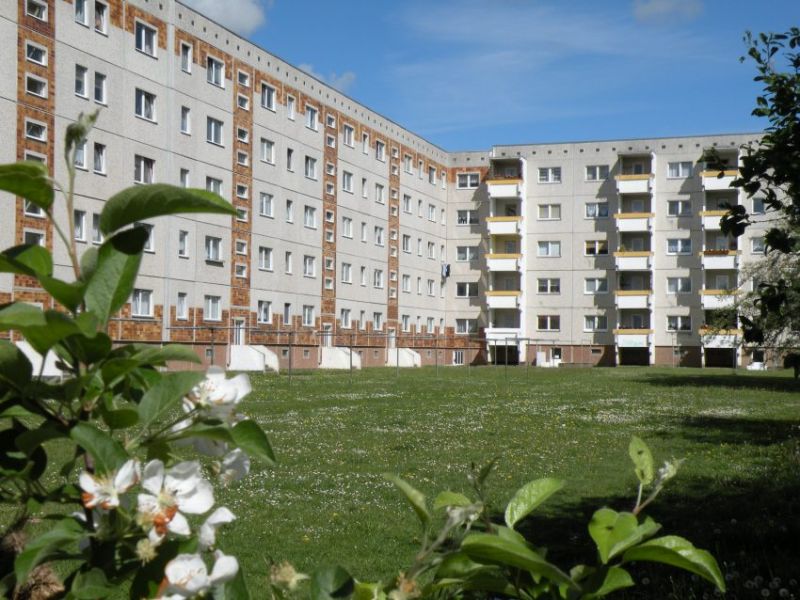 3 Raumwohnung in Knieper West! - Foto 2