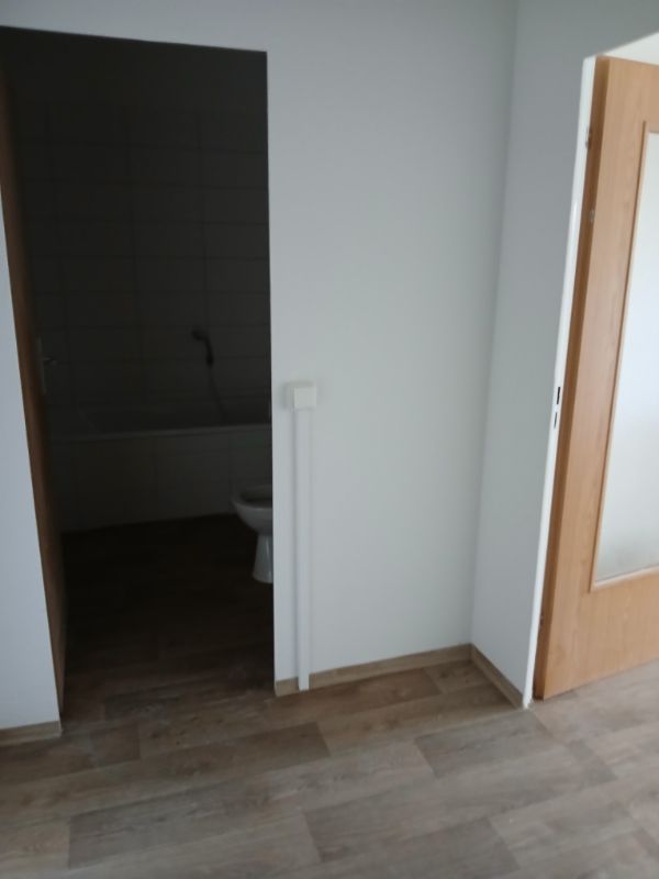1 Raumwohnung in Grünhufe! - Foto 2