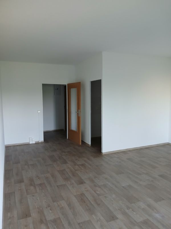 1 Raumwohnung in Grünhufe! - Foto 5