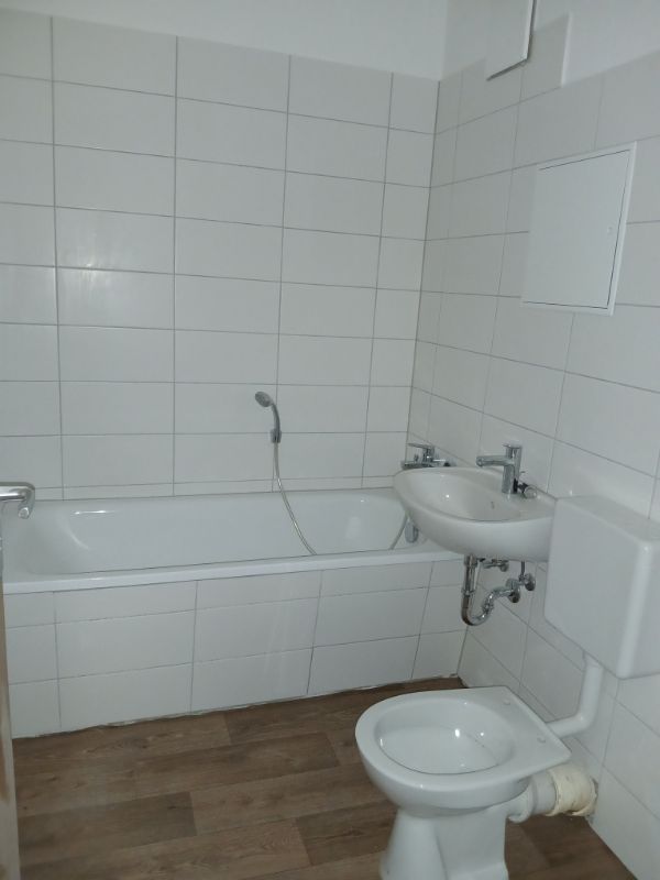 1 Raumwohnung in Grünhufe! - Foto 3